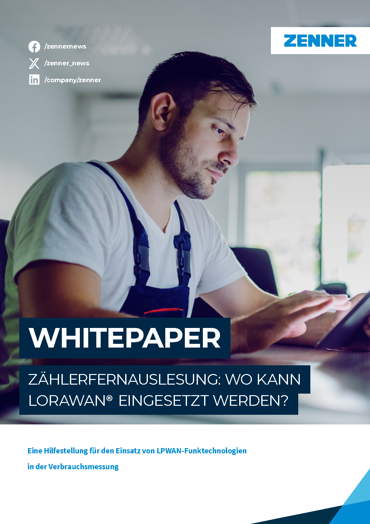 Whitepapertitelblatt zur Zählerfernausleung mit LoRaWAN®