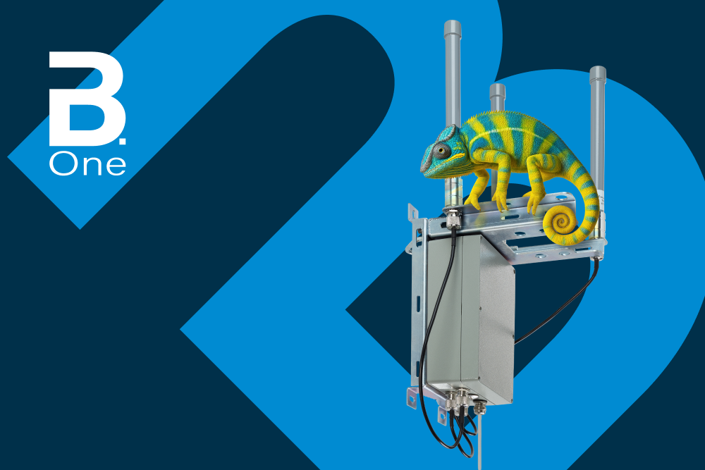 B.One Gateway outdoor 16 vor B.One Hintergrund mit Chamäleon