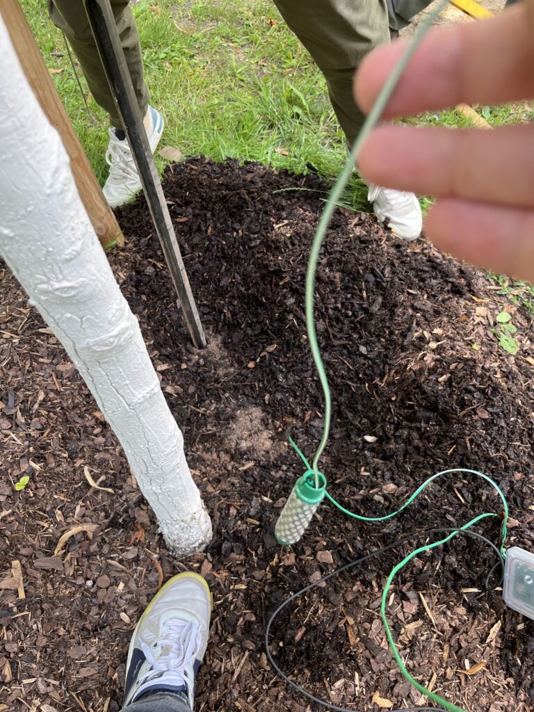 Bodenfeuchte-Sensor an einem Baum