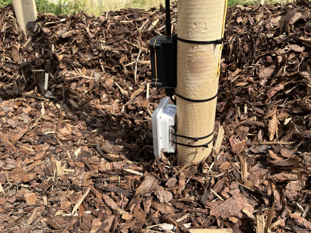 Bodenfeuchte-Sensor an einem Baum